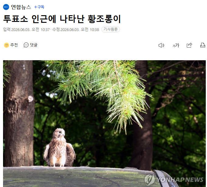 이 시각 투표쇼 레전드 상황 발생 ㄷㄷ